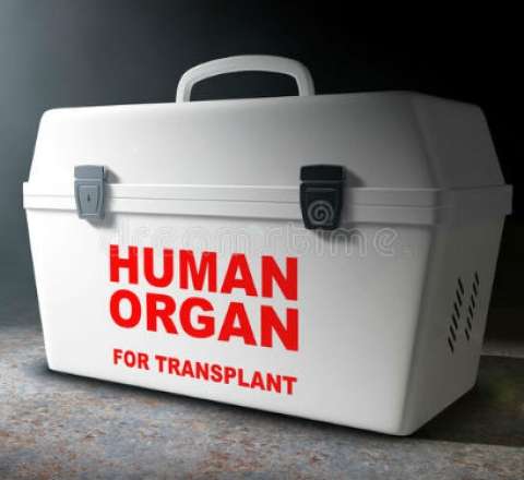 Böyrək donoru gözləyənlərin sayı 1000 nəfərdən çoxdur 