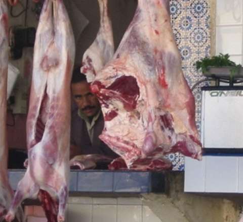 Quzu əti kəskin ucuzlaşıb - Səbəb 