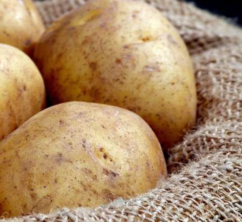 Niyə soyuq kartof yeməlisiniz? 