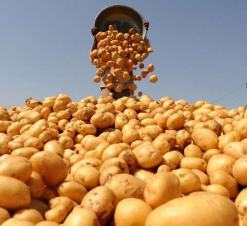 Bahalaşma gözlənilir? - Nazirdən açıqlama 