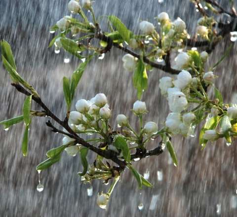 Bakıya dolu yağdı -  VİDEO