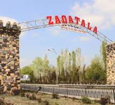 Zaqatalada fındıq bağında meyit tapıldı 