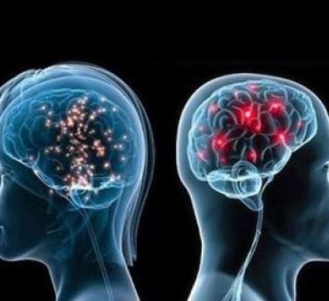 Alimlər kişi və qadın beyninin işində fərqlər tapdılar 