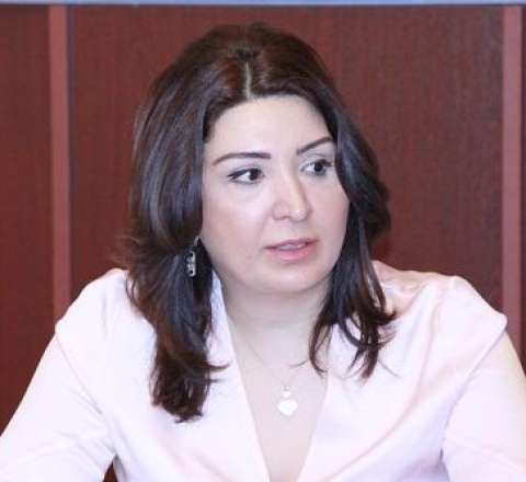 Aynur Camalqızı təhqirlərə görə onu məhkəməyə verdi 