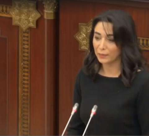 Ombudsmandan İranın Naxçıvana dron hücumu ilə bağlı -  BƏYANAT