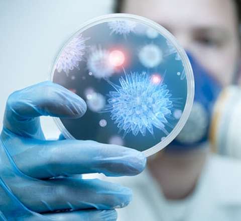 ÜST xəbərdarlıq etdi: Bu virus sürətlə yayılır! 