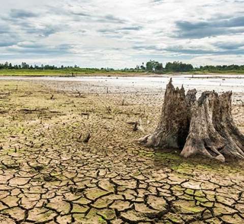 Quraqlıq İranı qonşu ölkələrdən su almağa məcbur edir 