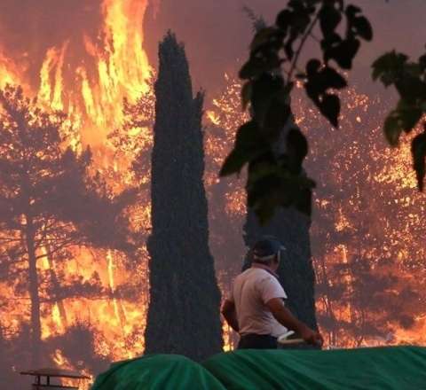 Güney Azərbaycanın Qaradağ bölgəsində meşə yanğını yenidən alovlandı. 