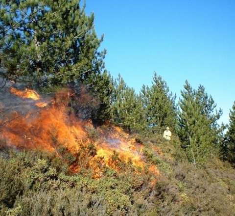 Naxçıvanda güclü yanğına səbəb oldu - 614 min cərimələndi 