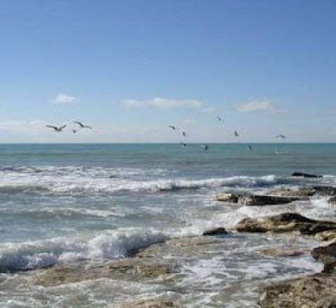 Xəzərin səviyyəsi 21 metr azala bilər 