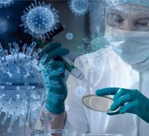 Universitetdə epidemiya panikası: ölənlər var 