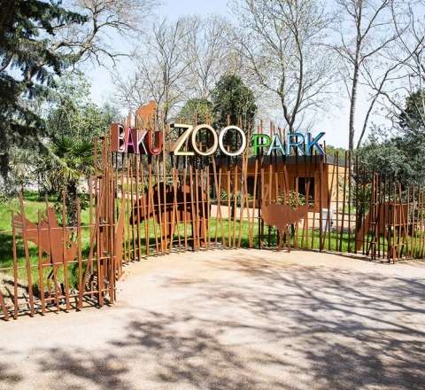 Bakı zooparkı ləğv olunur 