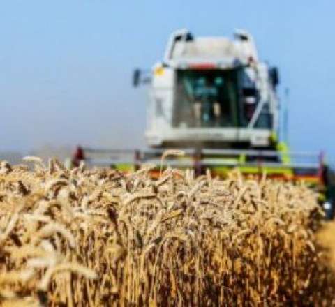 Papoyan açıqladı: Qazaxıstandan Azərbaycan vasitəsilə taxıl tədarük edilir 