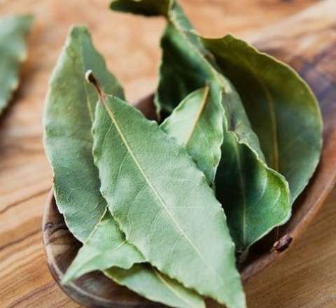 Dekabrda dörd gün dəfnə yarpağı yandırın: həyatınızın necə dəyişdiyini görün... 