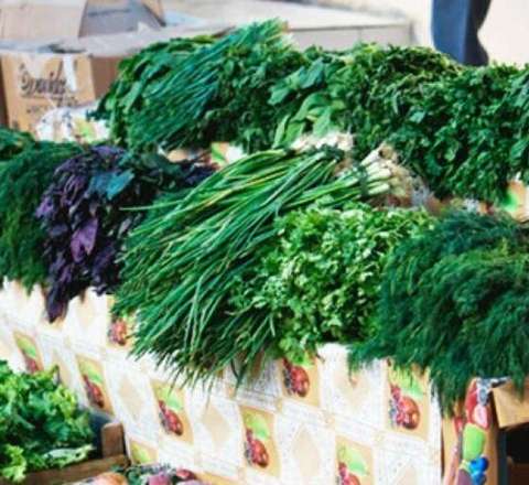 Onlarda 7 manat, bizdə isə 20 qəpik - FOTO