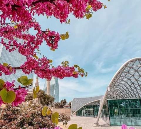 Sabahın havası açıqlandı - Temperatur 25 dərəcəyə yüksələcək 