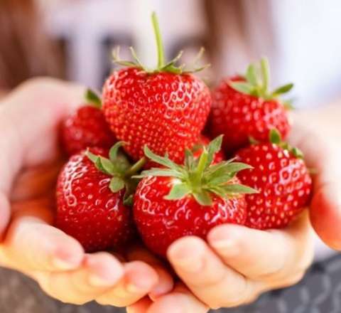 Bu meyvə min dərdə dərmandır 