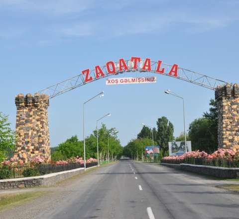 Zaqatala və Balakəndə evləri həşəratlar basdı - Rəsmi açıqlama 