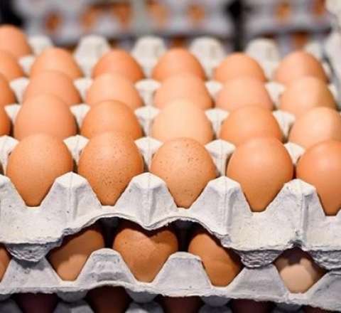 Yumurta ucuzlaşacaq –  1 qəpiyə satılacaq?