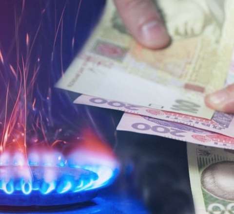 Qazın qiyməti artdı 