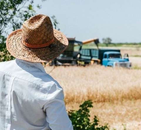  FERMERLƏRDƏN PREZİDENTƏ ŞİKAYƏT: "Pulumuzu ala bilmirik" - VİDEO 