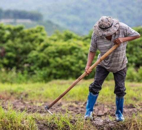 Müjdə verildi: Hər kəs şəhərdən kəndə axın edəcək 