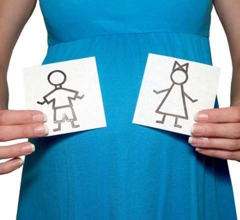 Azərbaycanda anonim süni mayalanma praktikası mövcuddur - Hüquqşünas 