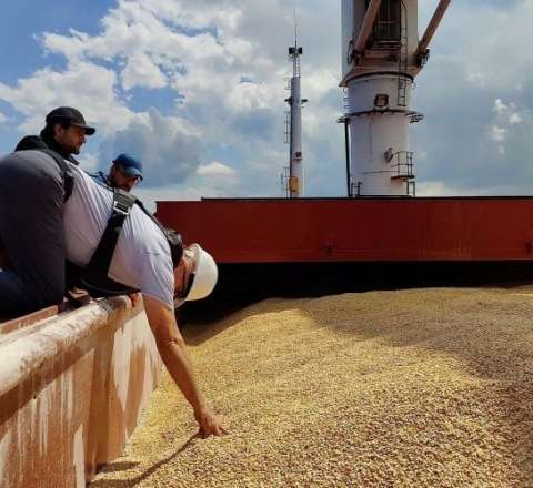 Rusiyadan göndərilən taxıl Azərbaycandan keçib, Ermənistana ÇATDI 