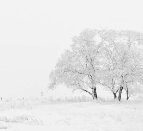 Şiddətli soyuqlar: Avropanın bu ölkəsində soyuqdan 3 nəfər öldü 