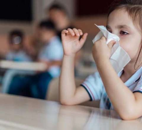 Yayılan qriplə bağlı son vəziyyət - RƏSMİ