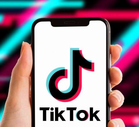 "TikTok"da insanları təhqir edənə işgəncə verənlər hakim qarşısında 