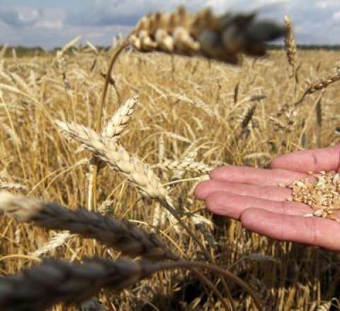 Azərbaycan keçən taxıl qatarı Ermənistana çatdı 