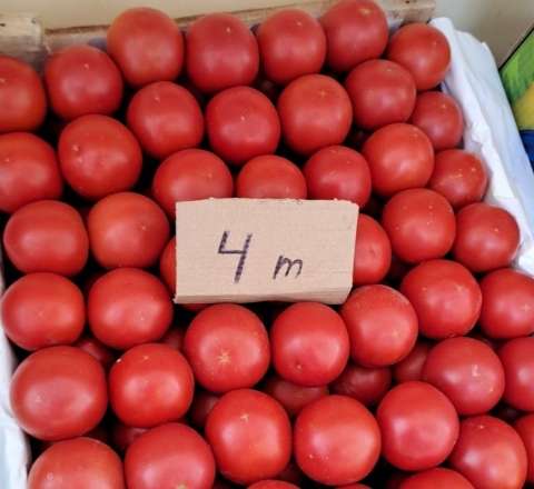 Pomidor yenə bahalaşır? 