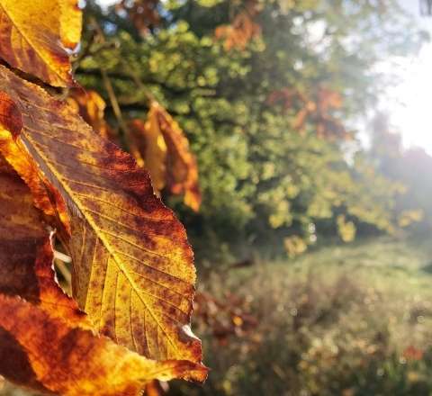 Sabah hava necə olacaq? - PROQNOZ 