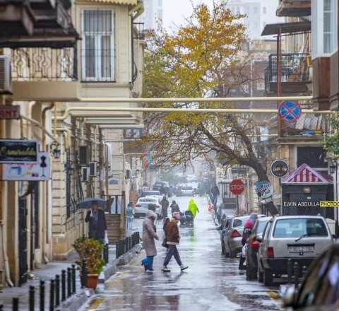 Heç bir ölkə təbii fəlakətlərdən sığortalanmayıb - Deputat 