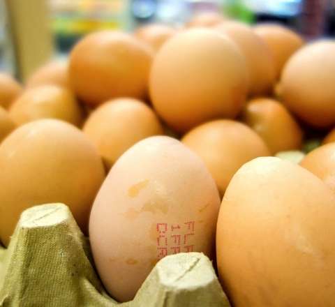 Yumurta BAHALAŞDI – VİDEO 