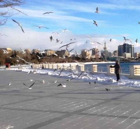 Sabahın hava proqnozu 