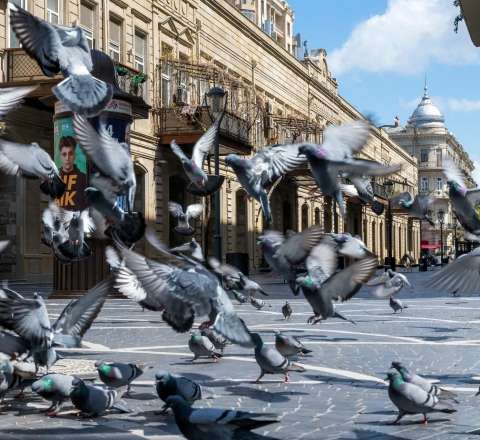 Sabah hava necə olacaq? - PROQNOZ 