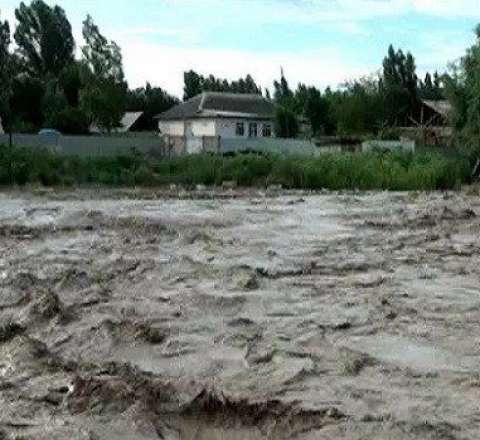 Bayram qonaqlığına gedən ana və oğlunu sel apardı 
