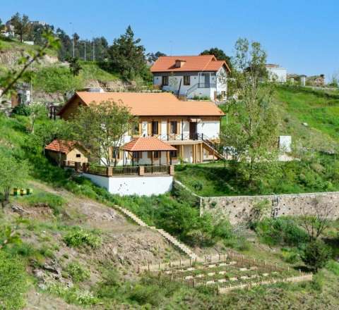 Azərbaycanda yeni qəsəbə salınır -  50 milyon manat ayrıldı