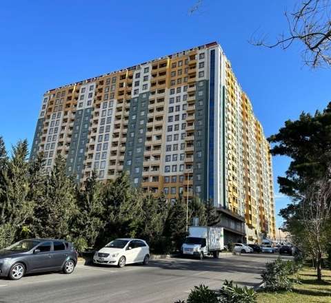 Tanınmış MTK ağacları kəsibmiş.. - Rəsmi  