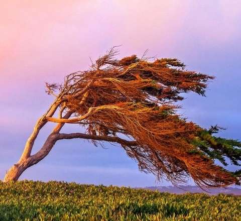 Güclü külək əsəcək - XƏBƏRDARLIQ 