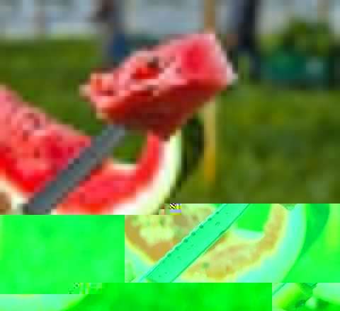 Zədələnmiş qarpız təhlükəli bakterial yoluxmaya səbəb ola bilər - XƏBƏRDARLIQ 
