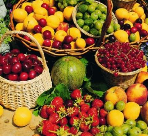 Leysan yağışlardan sonra meyvə qıtlığı yarana bilər 
