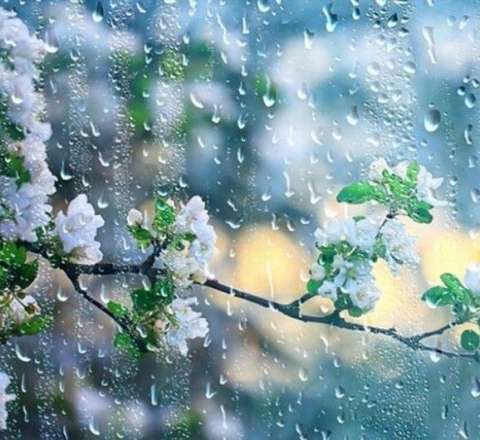 Qar yağacaq – Sabahın hava proqnozu 