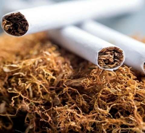 Azərbaycanda tütün istehsalı 58%-dən çox azalıb 