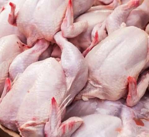 Bu toyuq məhsulunda bakterial infeksiya aşkarlandı - FOTO