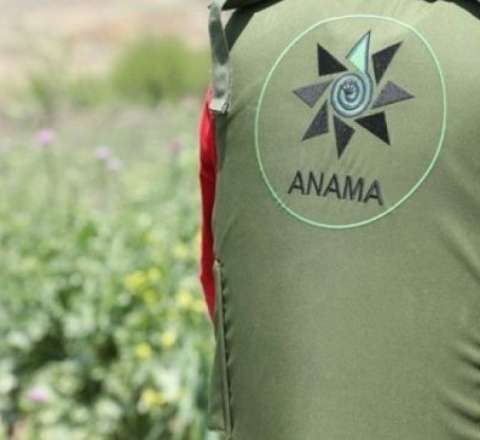 ANAMA-nın rəhbər şəxsi işdən azad edildi 