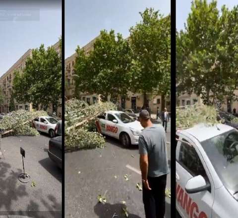 Bakıda güclü külək ağacı taksinin üzərinə aşırdı - VİDEO