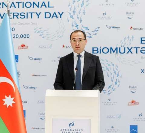 Azərbaycanlı nazir koronavirusdan sağaldı 